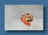 Helengeli 089